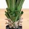 4ft. UV Resistant Artificial Spiked Agave Plant in White Tower Planter (Indoor/Outdoor)